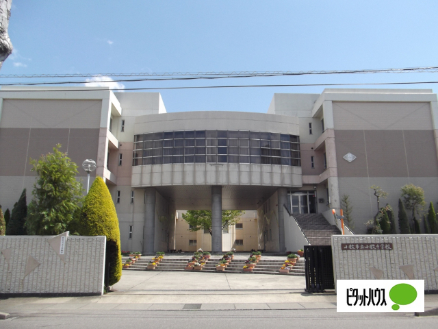 中学校　小牧市立小牧中学校（中学校）まで767m