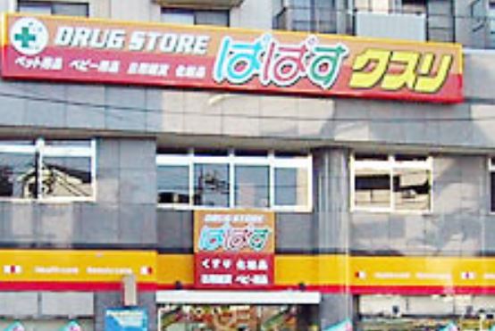 ドラックストア　どらっぐぱぱす西馬込店（ドラッグストア）まで232m