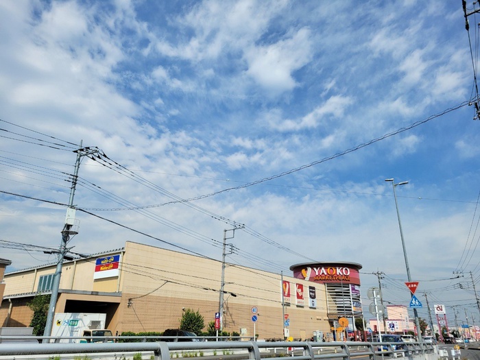 スーパー　ヤオコー高麗川店（スーパー）まで600m