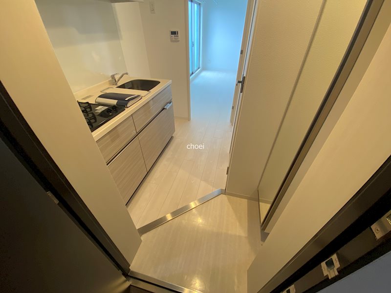 玄関　※同一間取り・別号室の参考写真です