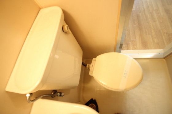 トイレ　※別号室の写真です