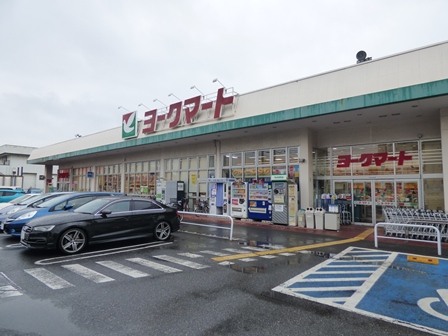 スーパー　ヨークマート 南元宿店（スーパー）まで627m