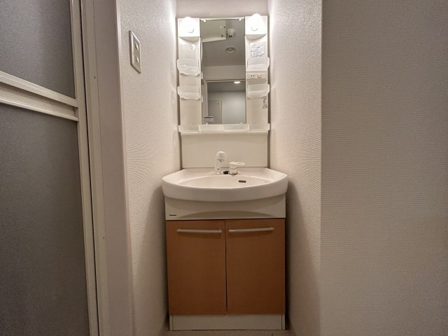 洗面設備　別のお部屋の写真になります
