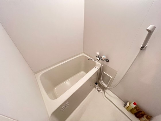 バス・シャワールーム　※別部屋の写真です