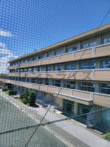 小学校　一宮市立小信中島小学校（小学校）まで1865m