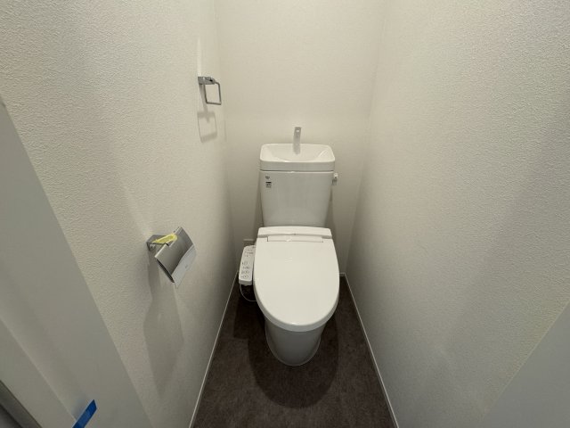 トイレ　同マンションの同間取り302号室画像