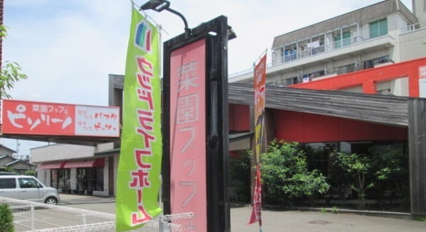 飲食店　ピソリーノ（飲食店）まで400m