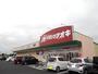 ドラックストア　クスリのアオキ 結城店（ドラッグストア）まで555m