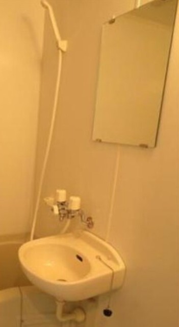 洗面設備　同タイプ部屋参考写真