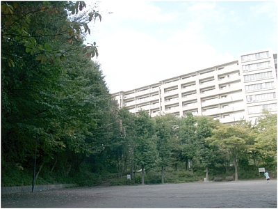 公園　山口白山公園（公園）まで304m