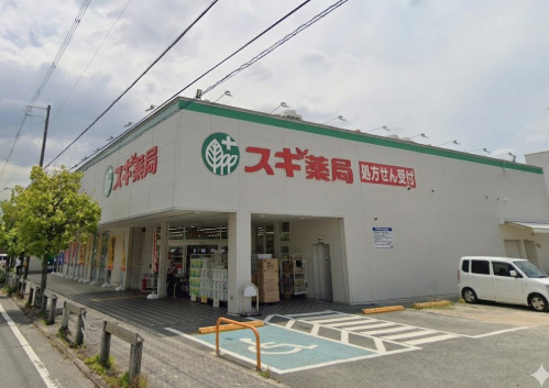 ドラックストア　スギ薬局 上ノ島店（ドラッグストア）まで844m