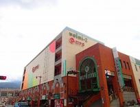 スーパー　ピアゴ 大雄山店（スーパー）まで777m