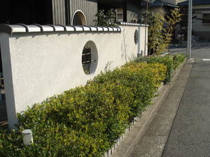 庭