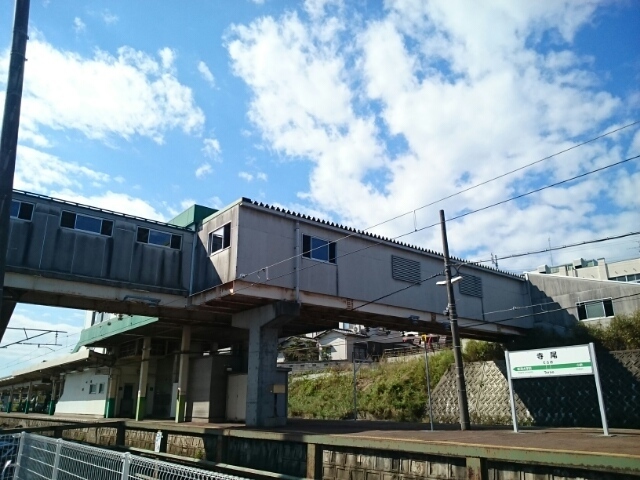 その他　越後線　寺尾駅（その他）まで700m