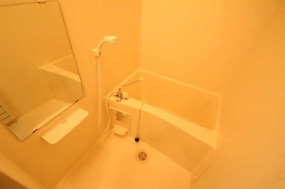 バス・シャワールーム　※別部屋の写真です