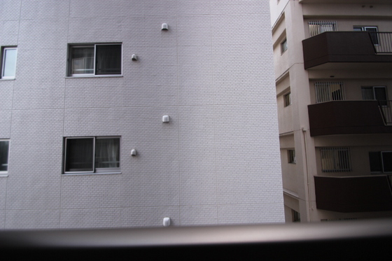 眺望　※別部屋の写真です