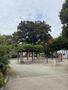 公園　足立区末広公園（公園）まで232m