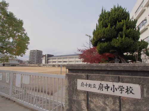 小学校　府中町立府中小学校（小学校）まで506m