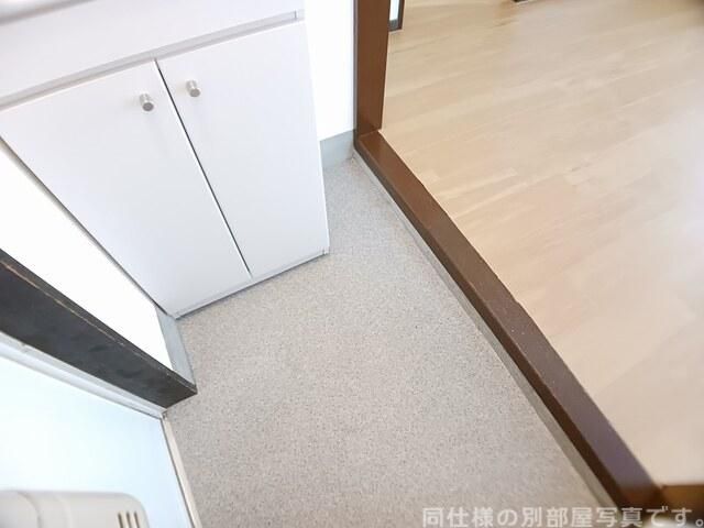 アメニティYATAIIの玄関写真