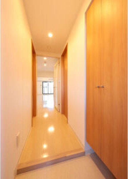 RESIDENCE DRACAENAの玄関写真