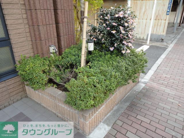 庭