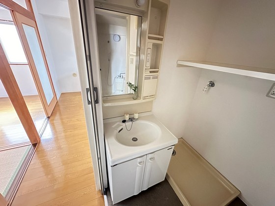 洗面設備　※別号室の写真です。
