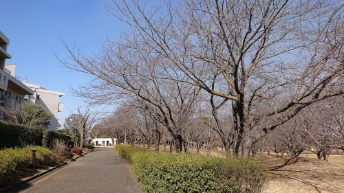 【守谷市御所ケ丘のアパートの公園】