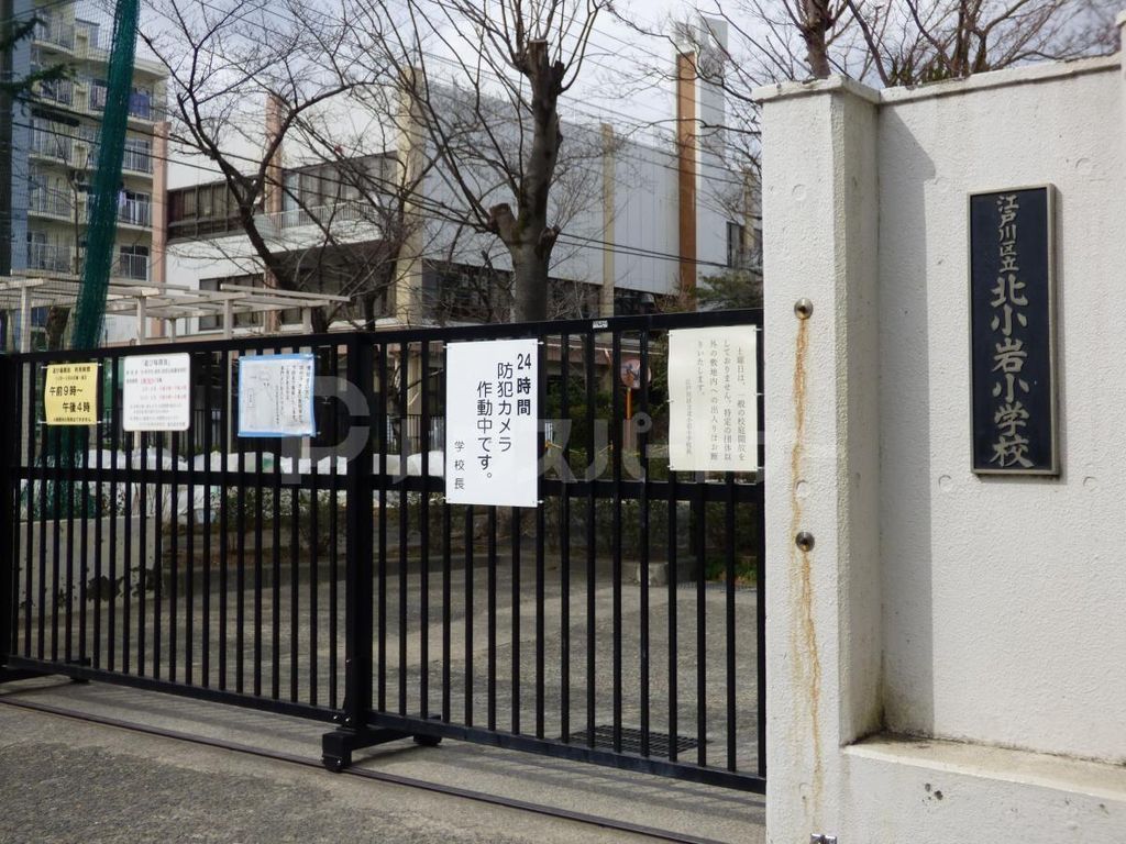小学校　江戸川区立北小岩小学校（小学校）まで240m