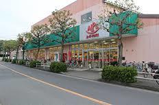 スーパー　スーパーアルプス横川店（スーパー）まで280m
