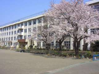 小学校　八王子市立横川小学校（小学校）まで292m