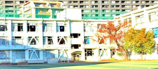 小学校　新宿区立柏木小学校（小学校）まで328m