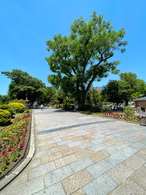 公園　住吉公園（公園）まで659m
