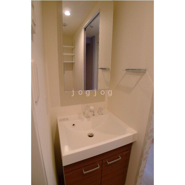 洗面設備　独立タイプ・小物も収納できます