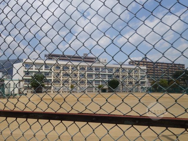 小学校　神戸市立向洋小学校（小学校）まで814m