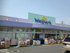 ドラックストア　Welpark(ウェルパーク) 練馬上石神井南店（ドラッグストア）まで281m