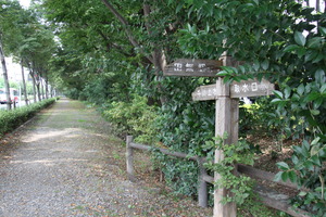 公園　千川上水緑道（公園）まで428m