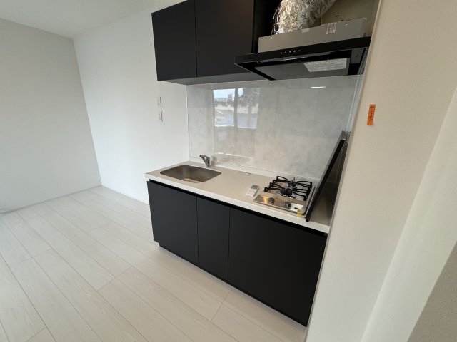 キッチン　同マンションの同間取り301号室画像