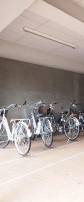 駐車場　ロイヤルグリーン本郷