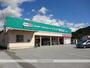 ドラックストア　セイムス一宮駅前店（ドラッグストア）まで230m