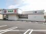 ドラックストア　セイムス　大分花津留店（ドラッグストア）まで1200m