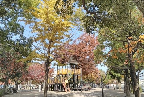 公園　あらきの森公園（公園）まで960m