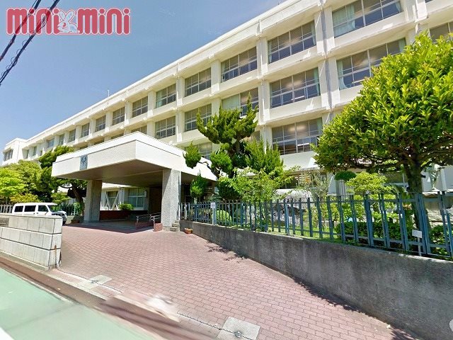 小学校　明石市立明石小学校（小学校）まで1100m