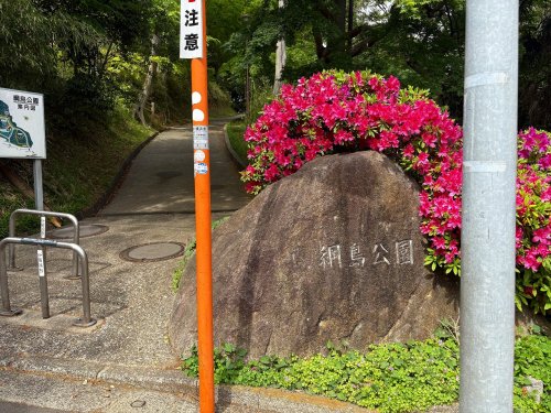 公園　綱島公園（公園）まで1223m