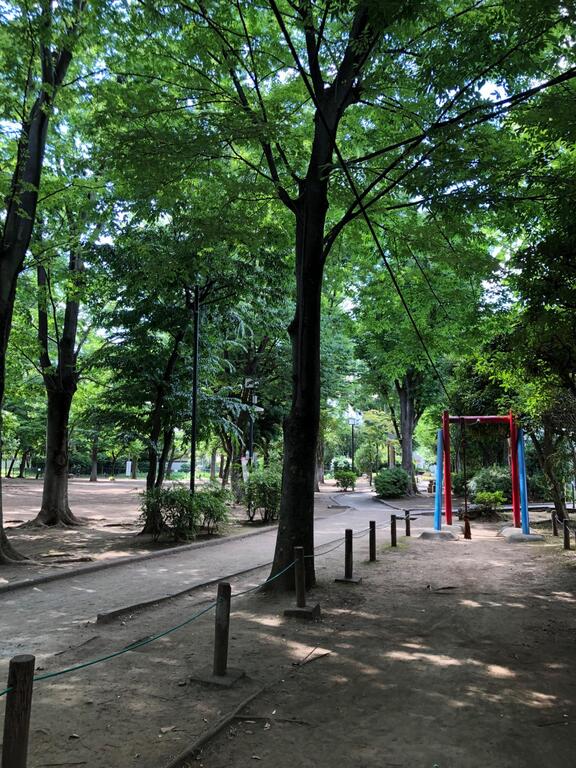公園　中央緑地公園（公園）まで519m