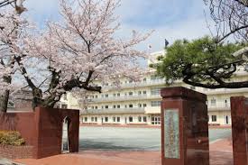 高校・高専　私立八雲学園高校（高校・高専）まで373m