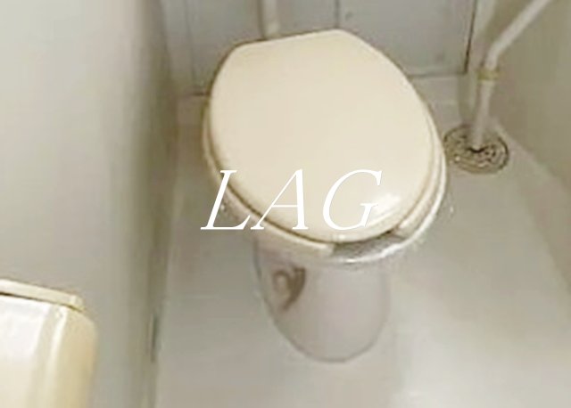 コーポキタジマのトイレ写真