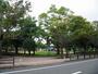 公園　宮崎中央公園（公園）まで513m