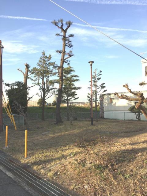 公園　丁田緑地（公園）まで586m