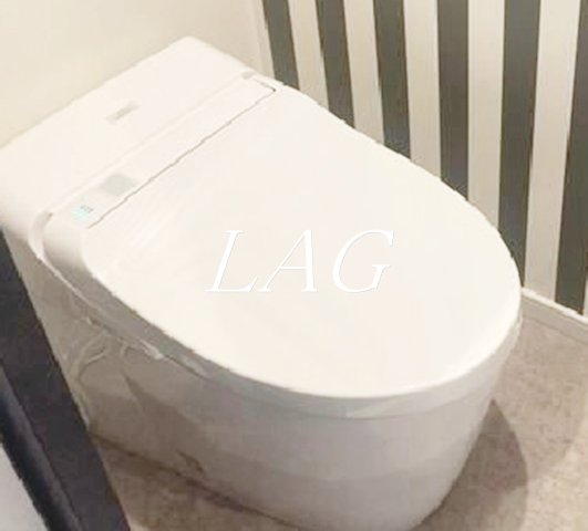 ＪＲ総武線 市川駅 徒歩5分 3階建 築9年のトイレ写真