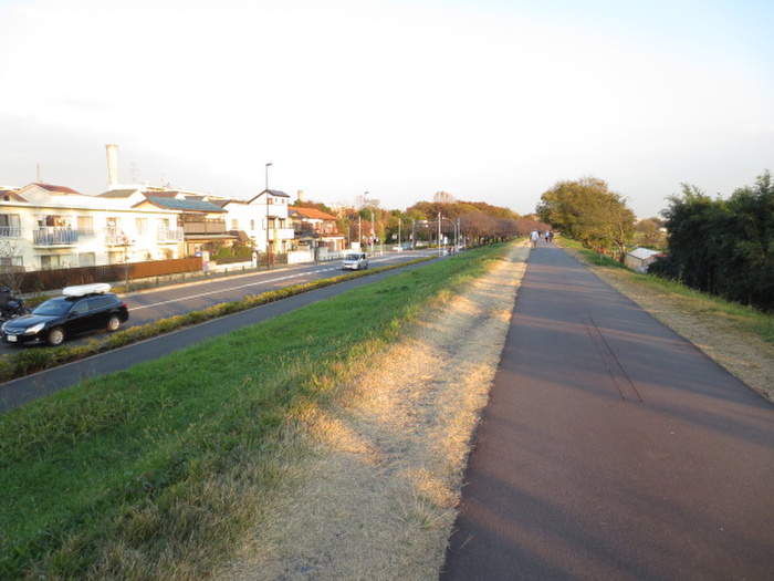 公園　多摩川河川敷（公園）まで200m